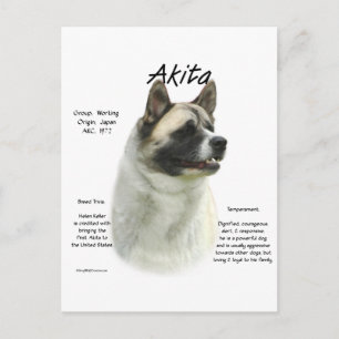 Carte Postale Histoire de Pinto Akita