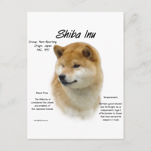 Carte Postale Histoire de Shiba Inu (Devant)