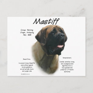 Carte Postale Histoire des mastiff abricot