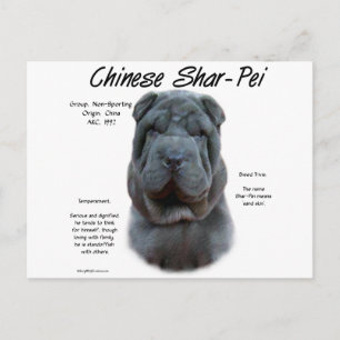 Carte Postale Histoire du Shar Pei en Chine Bleue, Sharpei, Shar