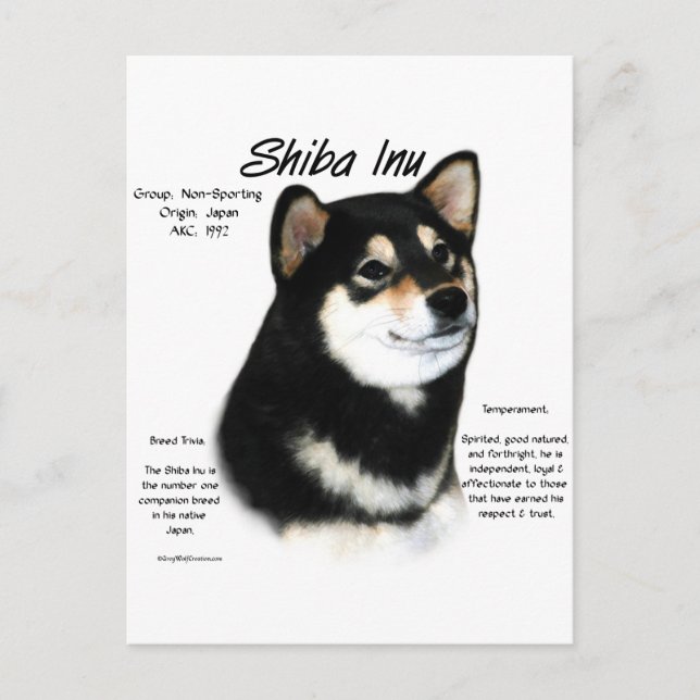 Carte Postale Histoire du Shiba Inu noir (Devant)