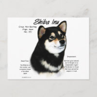 Histoire du Shiba Inu noir