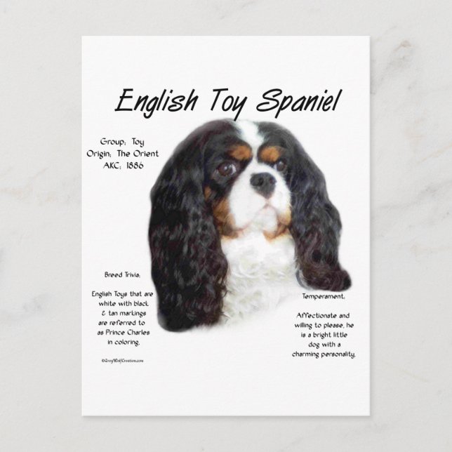 Carte Postale Histoire du Spaniel Toy Anglais Prince Charles (Devant)