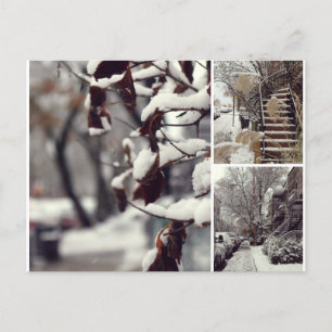 Carte Postale Hiver