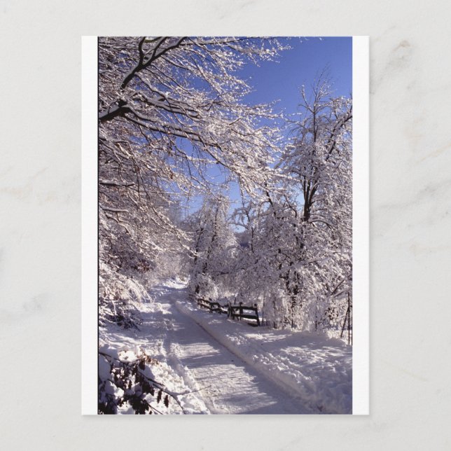 Carte Postale Hiver (Devant)