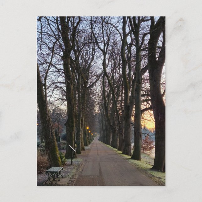 Carte Postale Hiver (Devant)