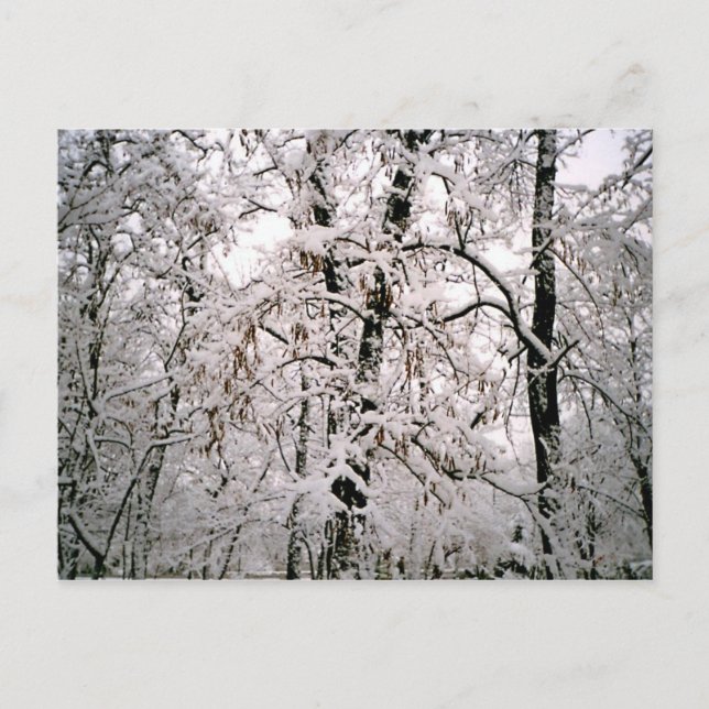 Carte Postale Hiver (Devant)