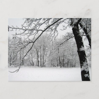 Carte Postale hiver