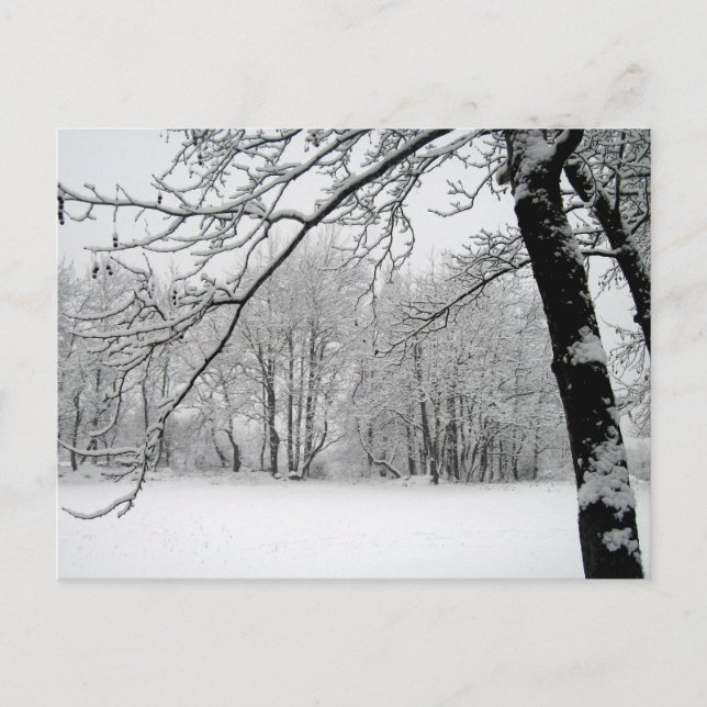 Carte Postale hiver (Devant)