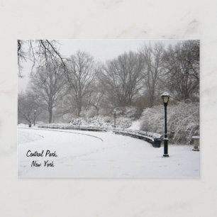 Carte Postale Hiver à Central Park