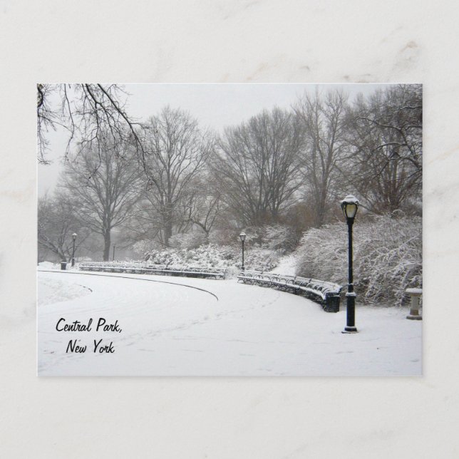 Carte Postale Hiver à Central Park (Devant)