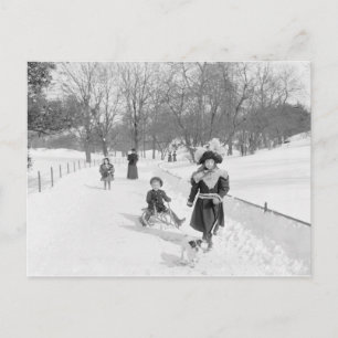 Carte Postale Hiver à Central Park, 1900
