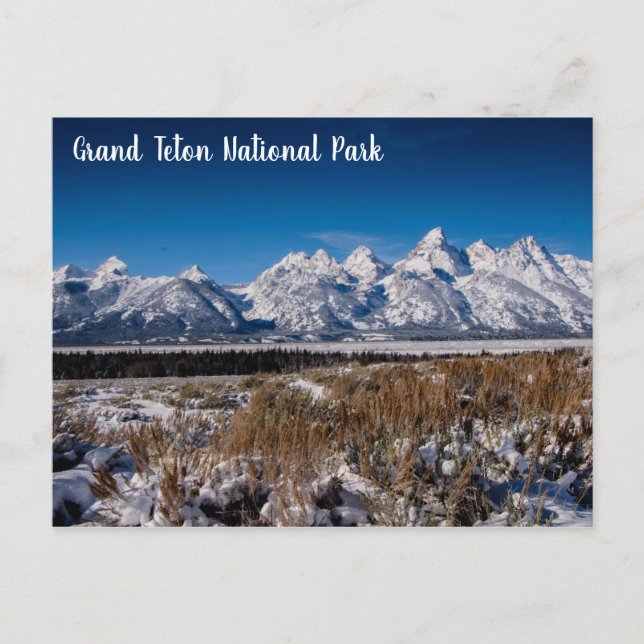Carte Postale Hiver à Grand Teton NP (Devant)