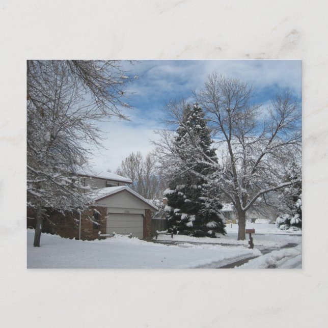 Carte Postale Hiver au Colorado (Devant)