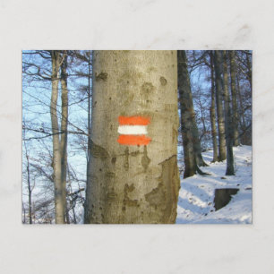 Carte Postale hiver australien