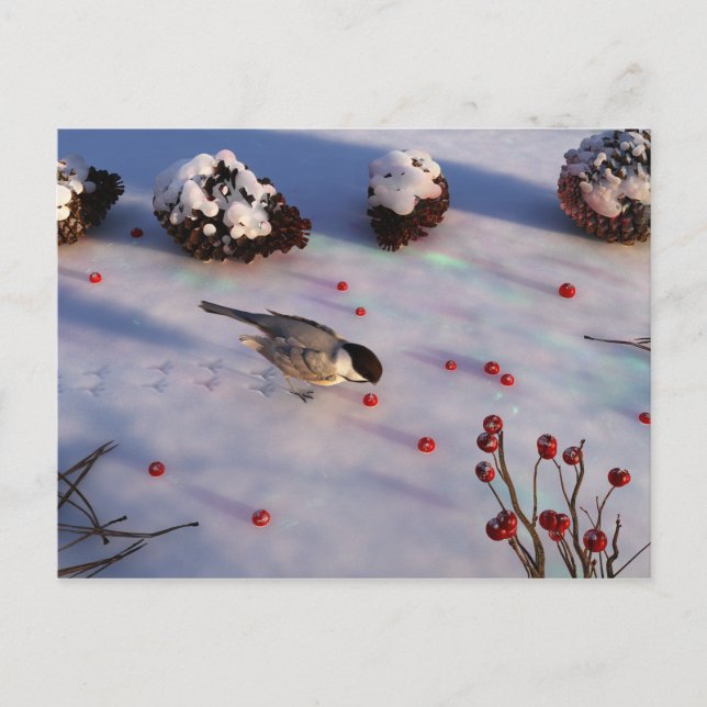 Carte postale Hiver Chickadee (Devant)