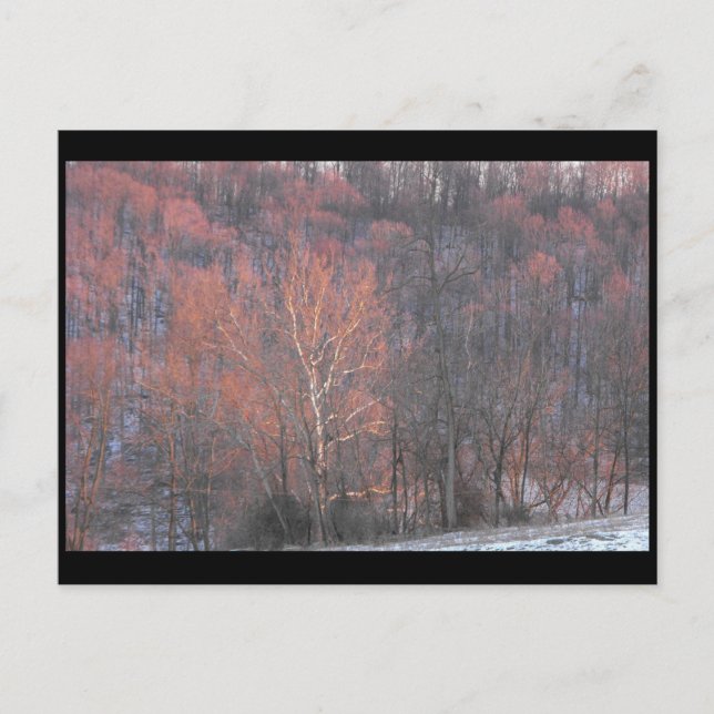 Carte Postale ~ Hiver dans le comté de Lancaster ~ 10 (Devant)