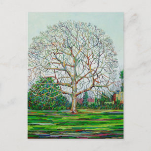 Carte Postale Hiver de l'arbre à boeufs