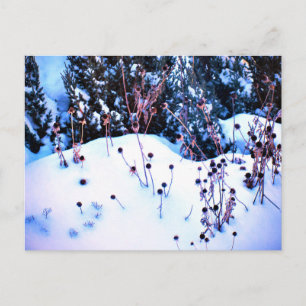 Carte Postale Hiver Fleurs de neige Têtes Arbres Nature
