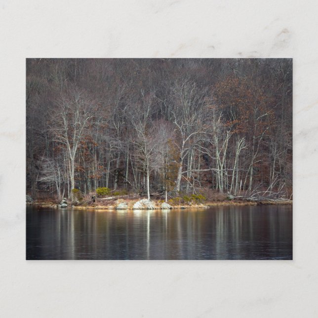 Carte Postale Hiver nucléaire (Devant)