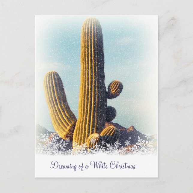 Carte postale hiver Saguaro (Devant)