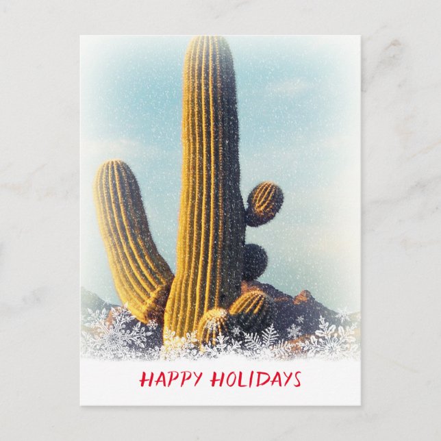 Carte postale hiver Saguaro Scene (Devant)