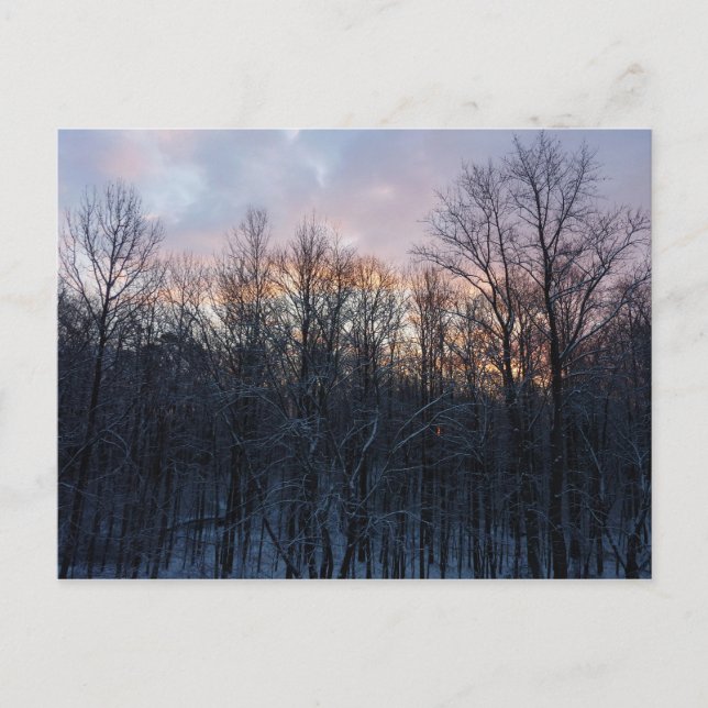 Carte Postale Hiver Sunrise I Pastel Paysage naturel (Devant)