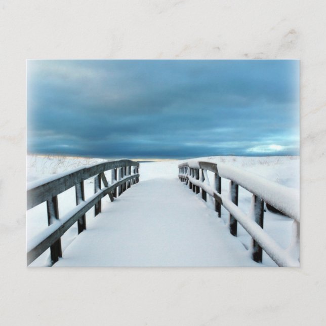 Carte Postale Hiver tropical (Devant)