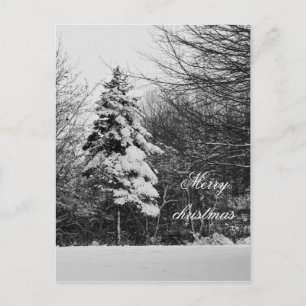 Carte postale hivernale