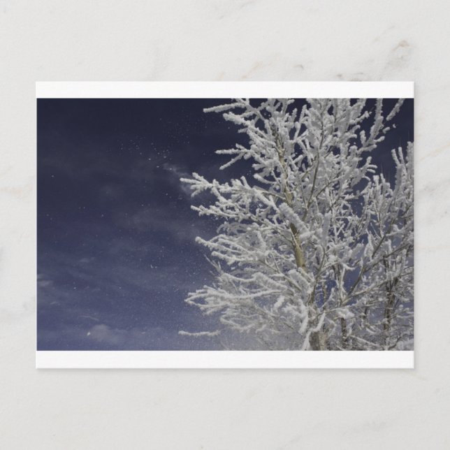 Carte postale hivernale (Devant)