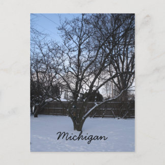 Carte postale hivernale du Michigan