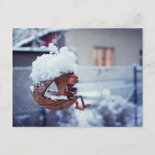 Carte postale hivernale d'un elfe de maïs