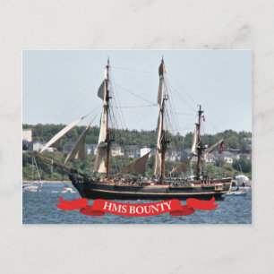 Carte Postale HMS Bounty Tall Ship