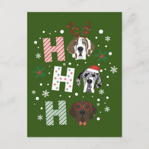 Carte Postale Ho Ho Ho Grand Danois Joyeux Noël