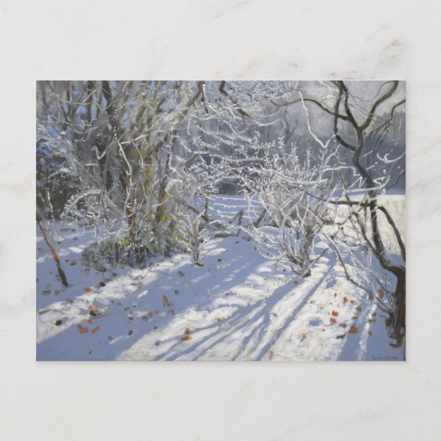Carte Postale Hoar frost Markeaton Derby.UK.2012 (Devant)
