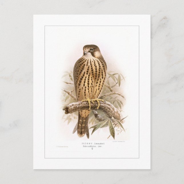 Carte Postale Hobby (Devant)