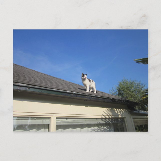 Carte Postale Hoch hinaus (Devant)