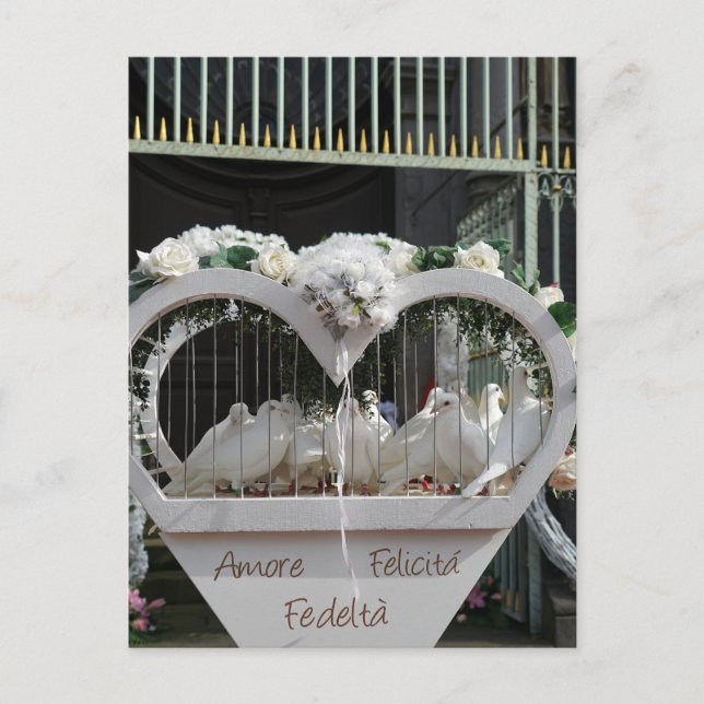 Carte Postale Hochzeits Tauben warten auf das Brautpaar (Devant)