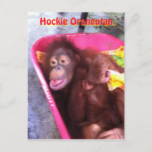 Carte Postale Hockie Orangutan - une fille qui a des besoins spé