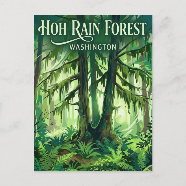Carte Postale Hoh Rain Forest Washington (Devant)
