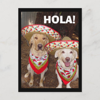 CARTE POSTALE HOLA !
