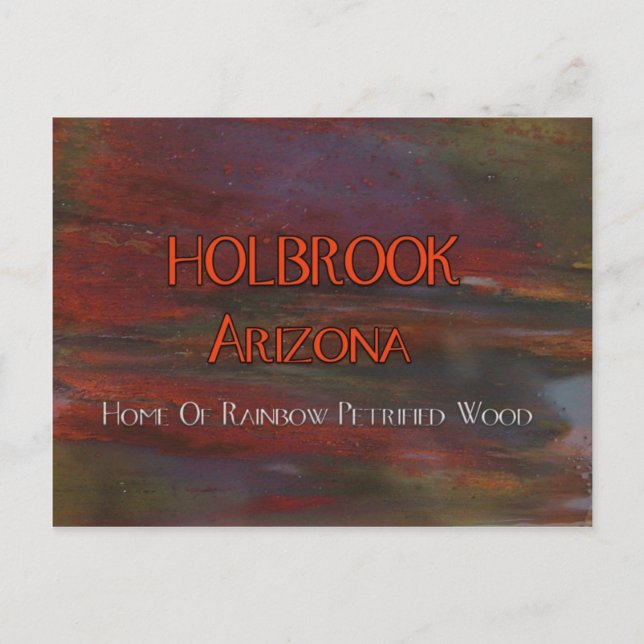 Carte postale Holbrook Arizona Pet Wood (Devant)