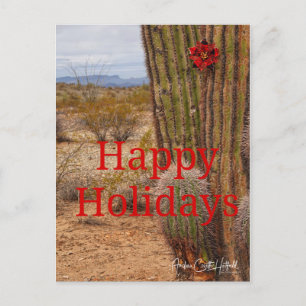 Carte Postale Holiday Cactus