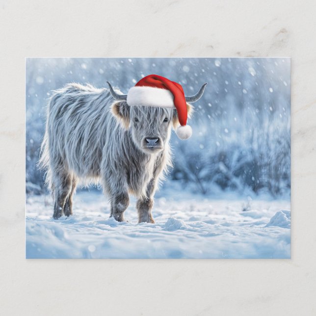 Carte Postale Holiday Highland Calf in the Snow Cute (Devant)