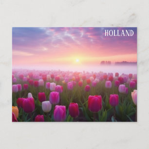 Carte Postale Holland Pays-Bas Dutch Tulips Photo Voyage