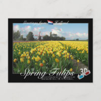 Holland Spring Tulips Paysage 3D Anaglyph