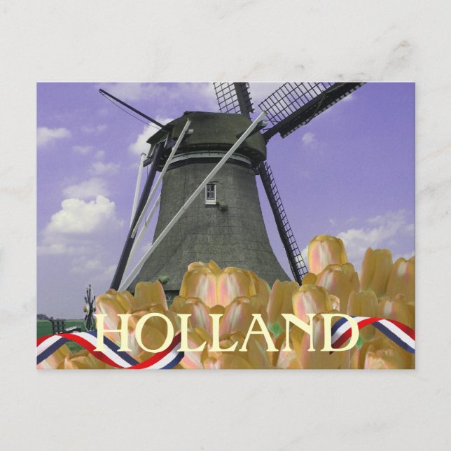 Carte postale Holland Windmill Orange Tulips (Devant)