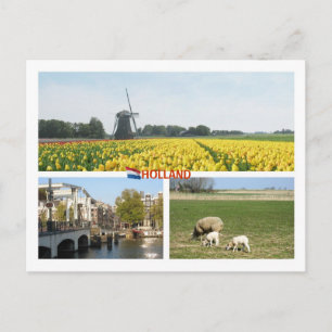 Carte Postale Holland Windmill Tulips Amsterdam Dutch Landcape