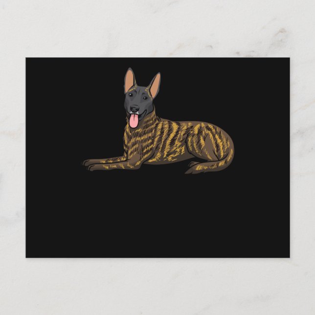 Carte Postale Hollandse Herdershond Dutch Shepherd Chien (Devant)