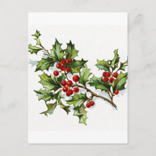 Carte Postale Holly Berries 002
